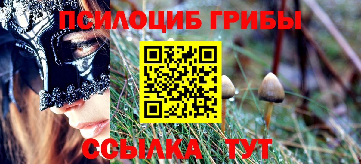 где купить   Галлюциногенные грибы Magic Shrooms  Вход с VPN  Пыть-Ях 